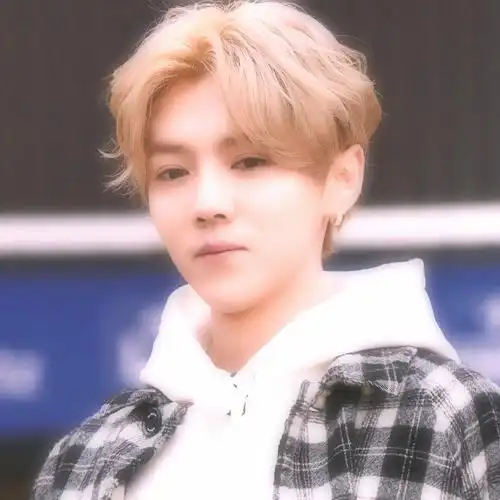 自修〕鹿晗爱豆头像