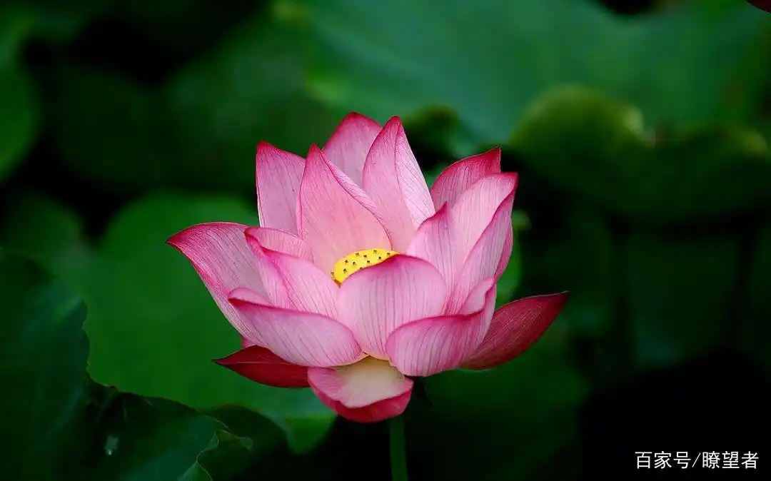 回答关于佛教的几种误解