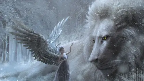 堆糖,美图壁纸兴趣社区