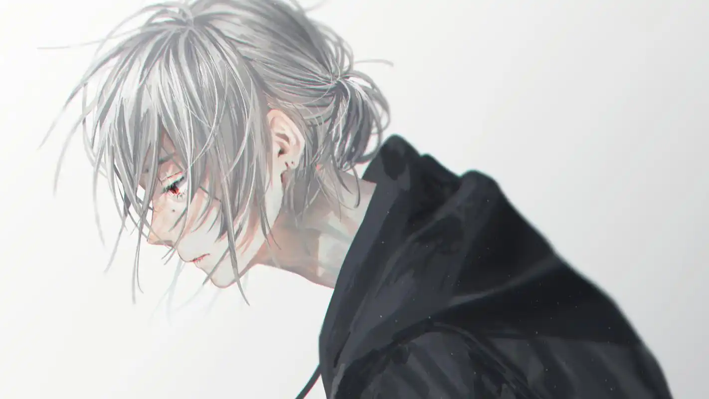 动漫人物插画分享——帅气的白发少年郎