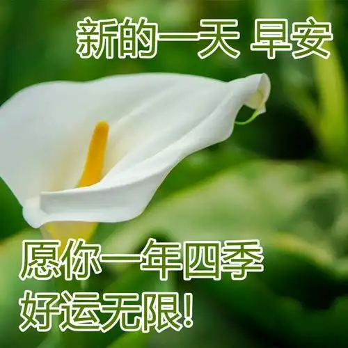 早上好问候祝福语图片句子准时送上 群发朋友圈很赞的早安图片