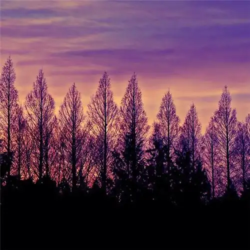 适合一辈子风景头像图片 高清值得一辈子不换的头像风景_风景微信头像