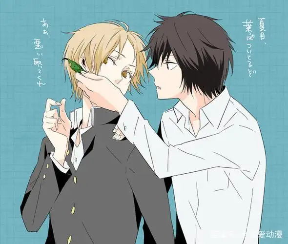 《夏目友人帐》盘点夏目的各个cp,那一对的人气最高,请选择?