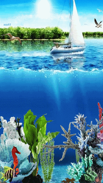 下载underwatersamsung g800屏保 - 3510961 - animated sea nature