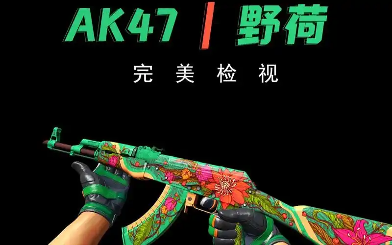 活动  【csgo】圣马克镇收藏品,ak47 | 野荷,全亮度检视