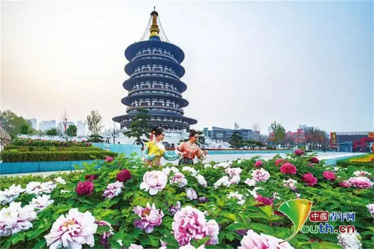 品美酒,赏国花 河南杜康酒业连续5年冠名中国洛阳牡丹文化节