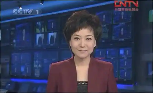 综艺|播音员|新闻联播|央视主持人_网易订阅