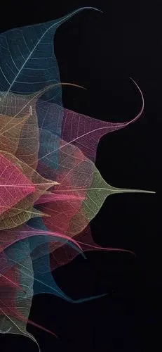 iphone xs max 动态壁纸 - 堆糖,美图壁纸兴趣社区