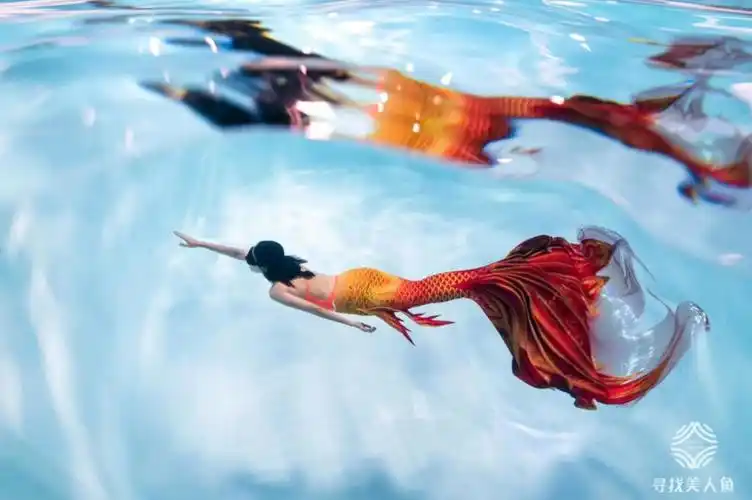 快来考一个国际美人鱼证书变身锦鲤吧