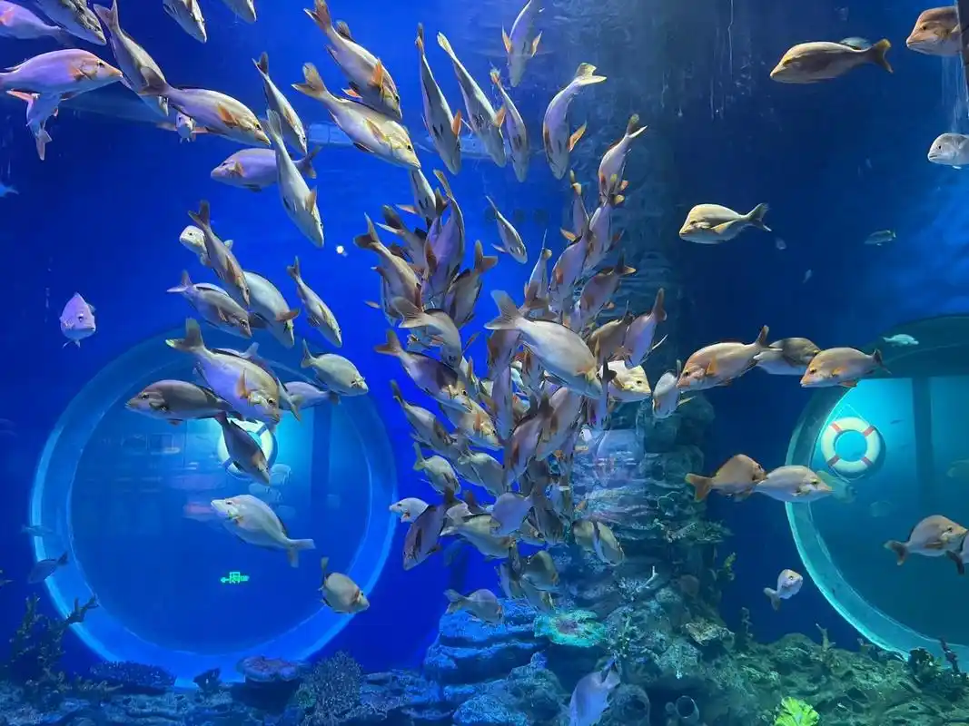 兰州海洋公园 海洋馆打卡,带孩子去海洋馆玩玩,炎炎夏日,海洋馆内凉爽