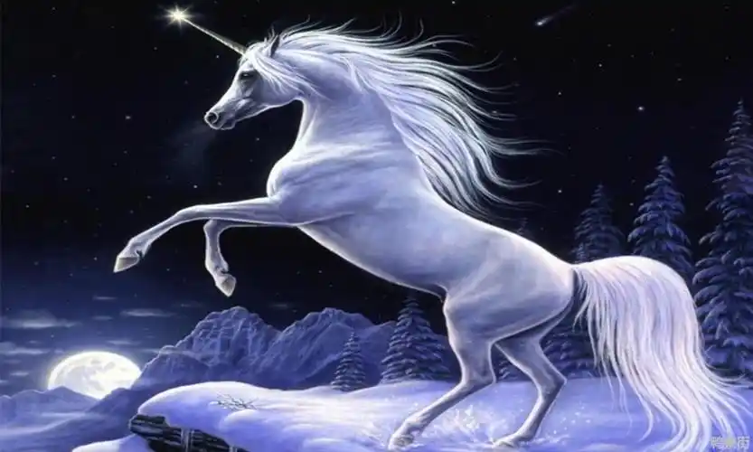 独角兽寓意是什么意思