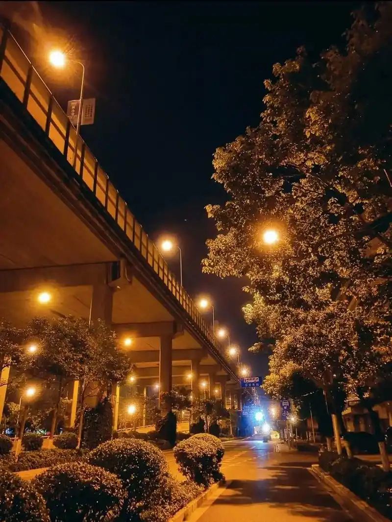 空旷的大马路手机里的夜景马路上暖色调的路灯真的很治愈# - 抖音