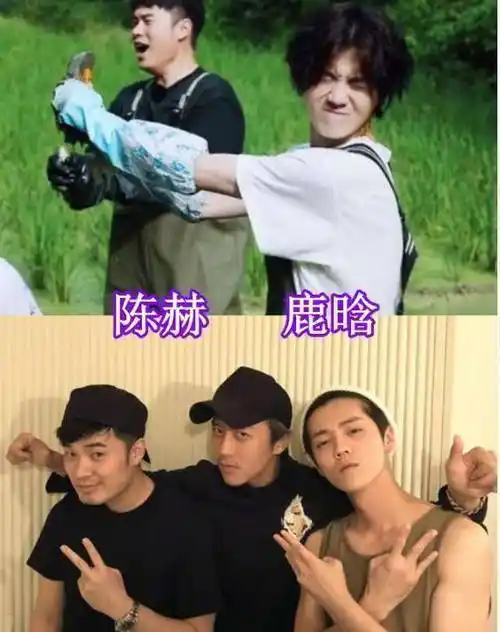 鹿晗林更新没啥,看到杨紫:超想去打卡!_陈赫_公司_明星