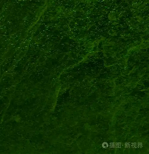 深绿色纹理背景的平面设计