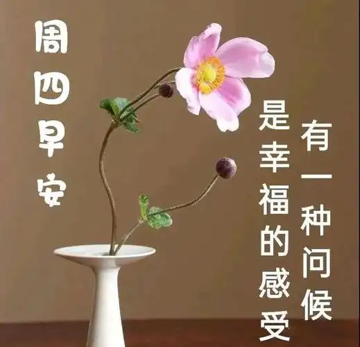 2021年5月27日星期四漂亮早上好问候动态表情图片带字周四最美早安