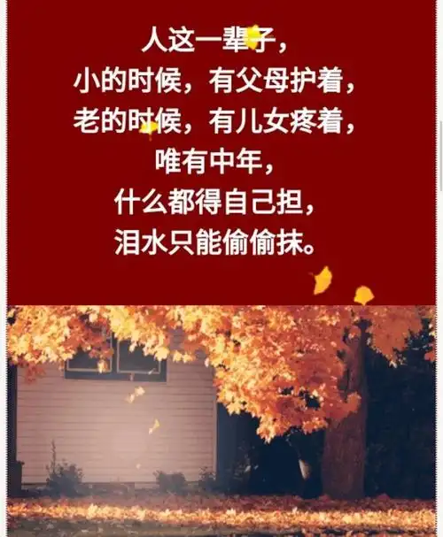 人到中年需要一个知己人到中年不容易太多的心事无人懂