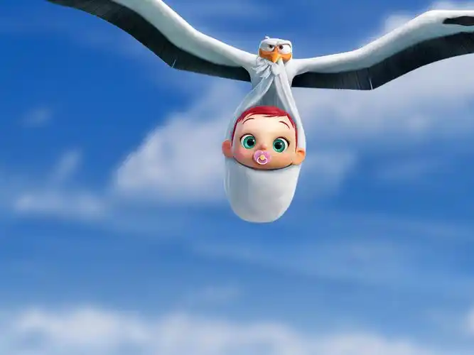 分享|搞笑温馨的动画片《逗鸟外传:萌宝满天飞》