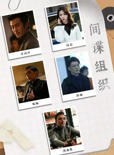 杨幂,张彬彬领衔主演电视剧《暴风眼》