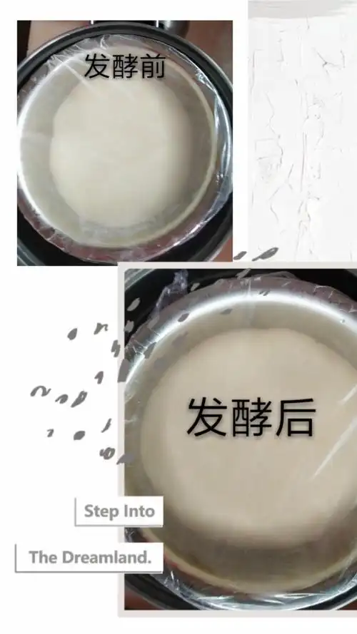 瞧,马中旭同学揉的面发酵得真好!酵母菌的力量可真强大呀