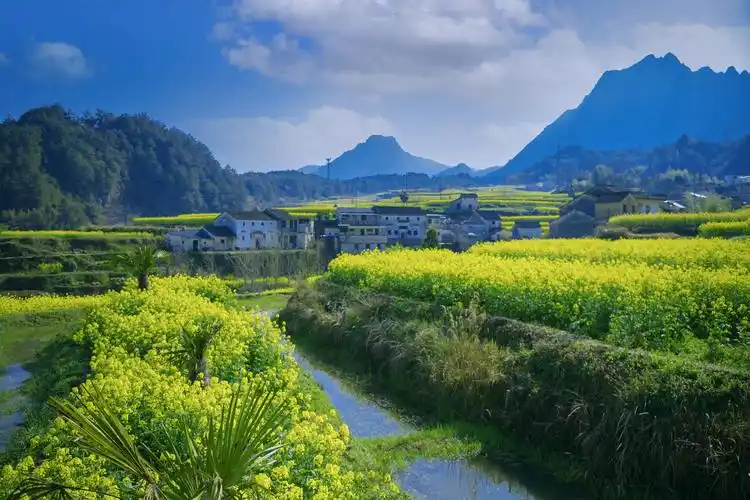 尚村美景在春天(首发)