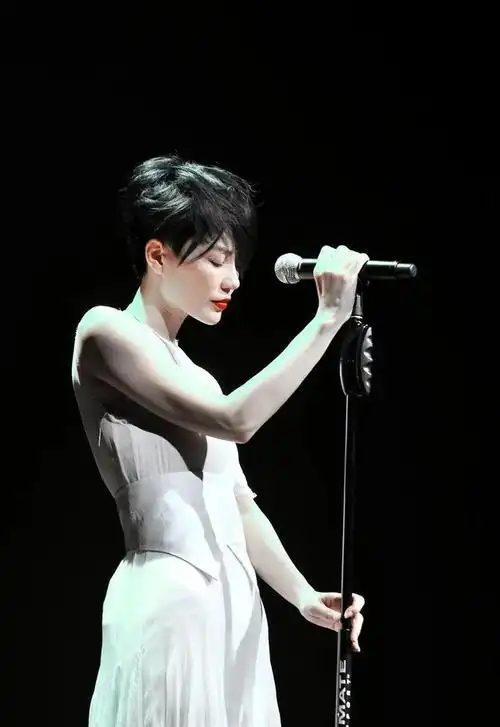 参考资料: 【1】《王菲个人资料》 【2】《锋菲恋回顾:分手11年破镜