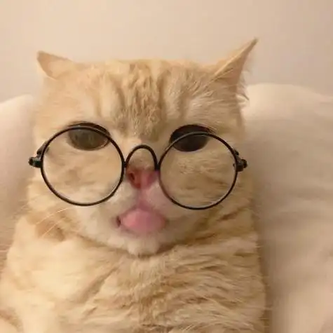 动物头像图集猫霸气 霸气头像图片大全 -【爱个性】