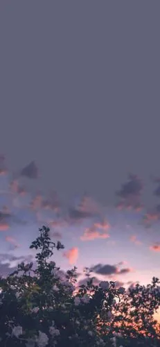 手机背景 自制 - 堆糖,美图壁纸兴趣社区