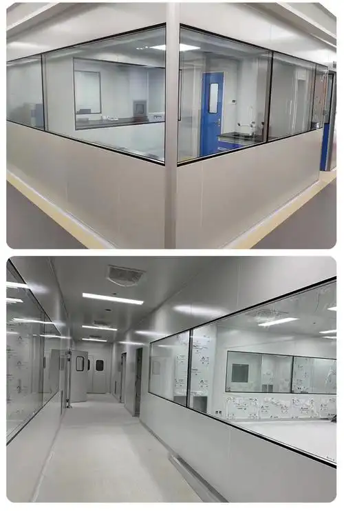 双层固定净化观察窗 中空钢化玻璃窗 无尘车间洁净室观察窗定制