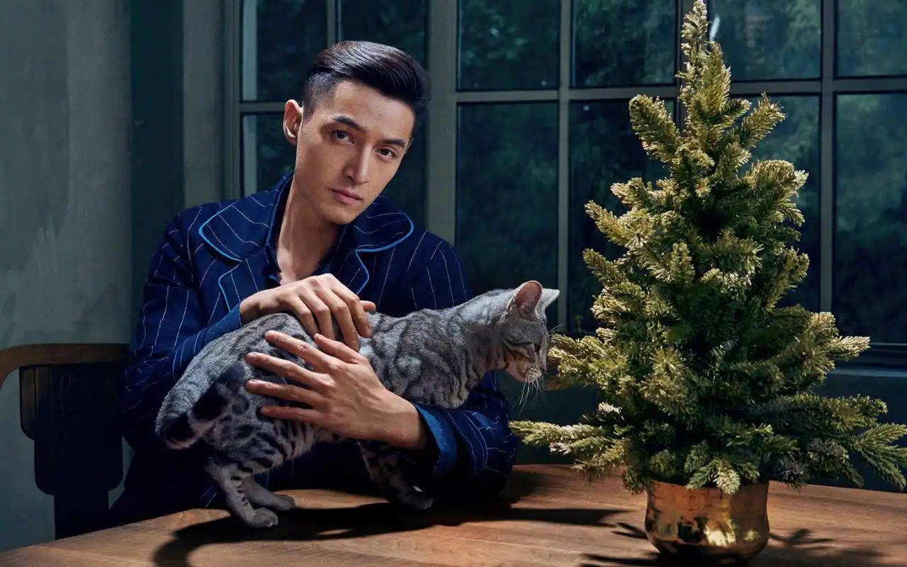 胡歌圣诞节时尚帅气写真高清图片-大陆明星-壁纸下载-美桌网