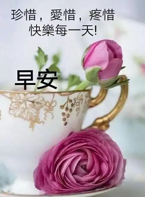 清晨最美的早安问候祝福语大全早上好温暖人心的祝福语录图片