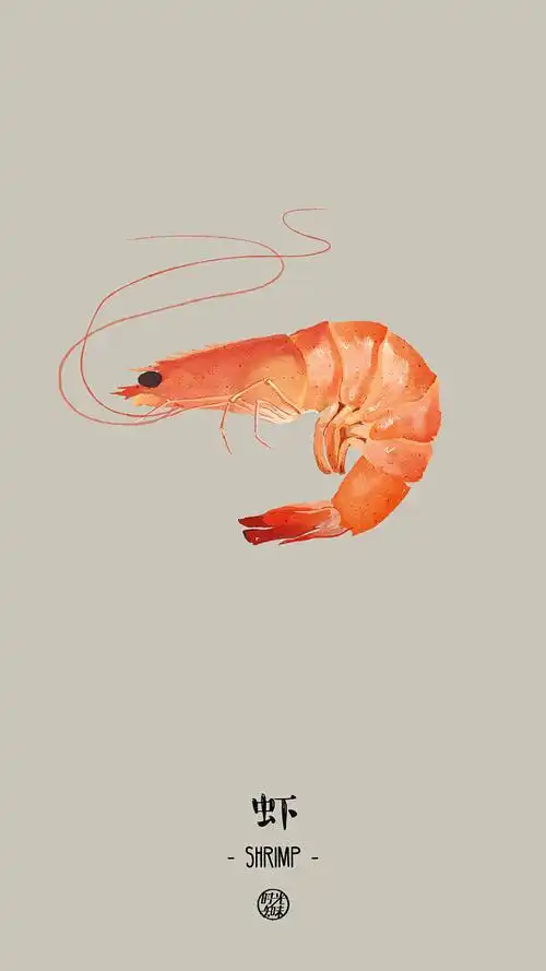 虾手绘治愈系壁纸