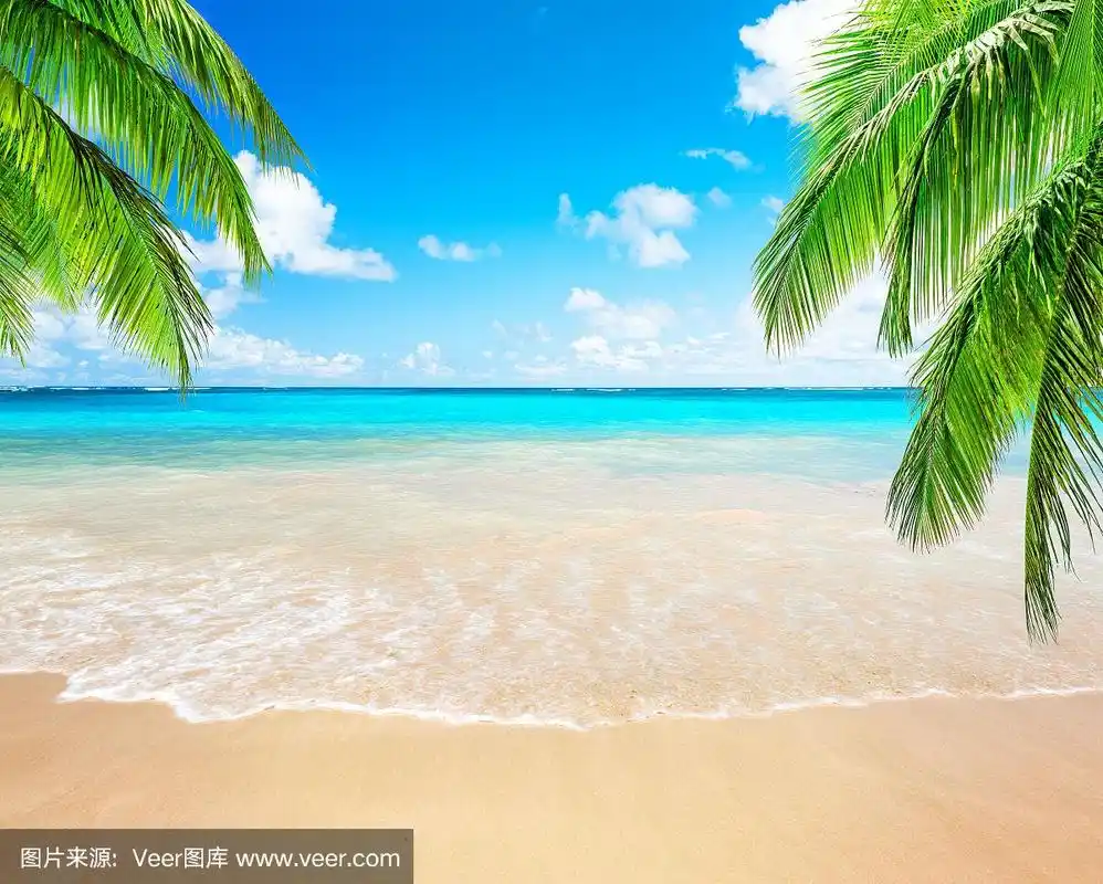 椰子树,蓝天和大海