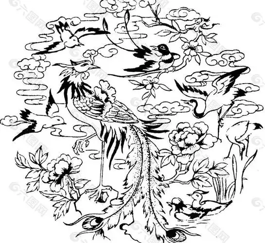 凤凰鸟飞鸟矢量线