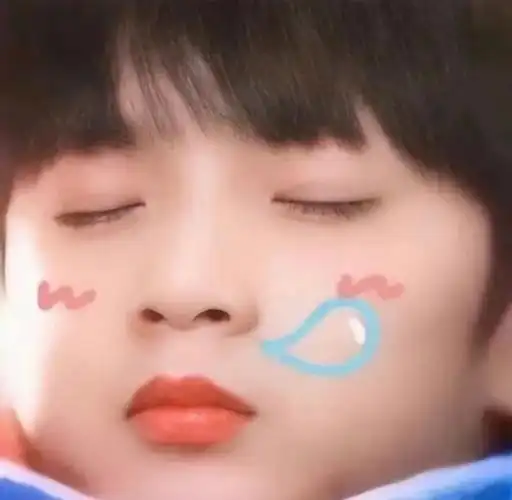 刘耀文可爱小丸头像