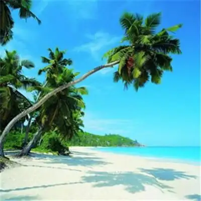 成熟男人微信头像风景2019 风不识路才会没有归宿