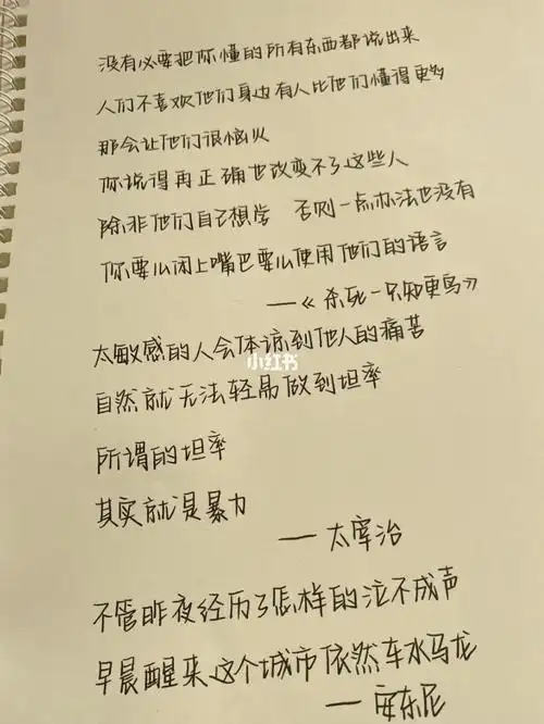 奶酪陷阱字体又更新啦78