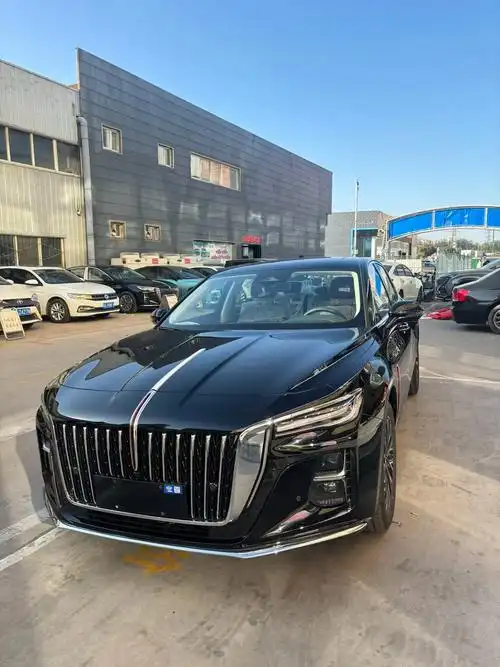 红旗h5 #喜提爱车 #国产红旗 26岁喜提新车 不靠自己 - 抖音