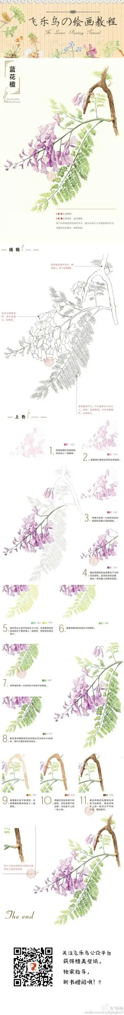教程#亭亭玉立的蓝花楹,用色铅笔轻松画出来吧~!