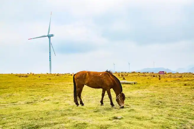 #寻奇黔南##春日心动时刻#