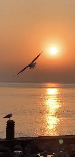 烟台海边的早晨 - 美篇