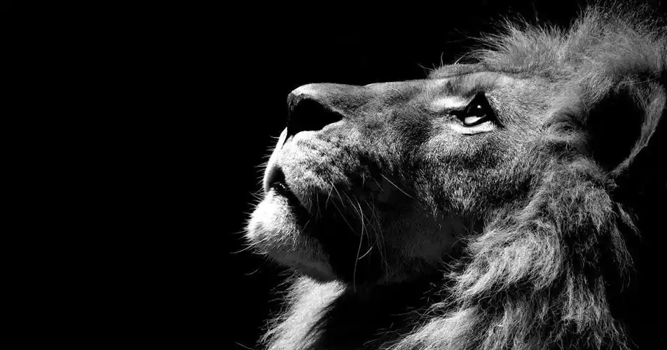 说一说深圳衡盛科技靠谱吗是真的假的