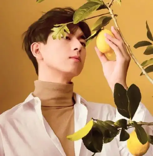 【微信头像】李现