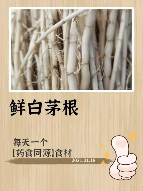 小庄分享白茅根的这个功能04太惊人了