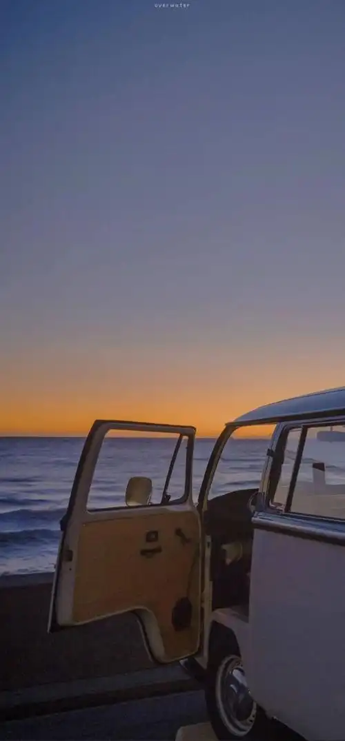 全面屏手机壁纸丨平凡之极却又可爱非常