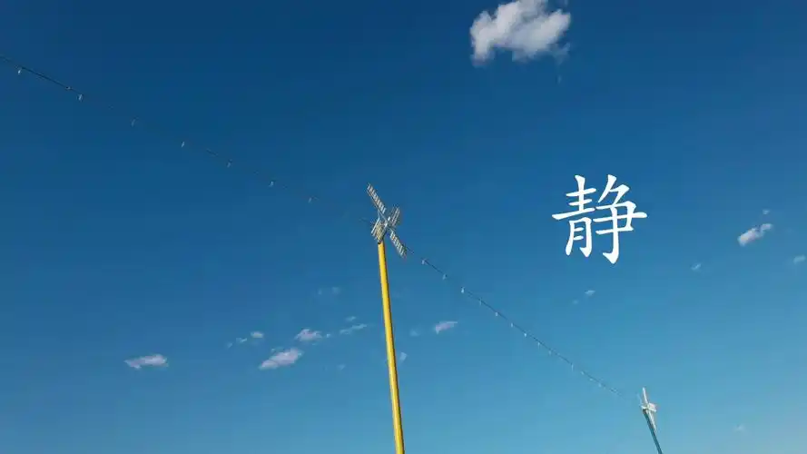 在繁华的都市里寻找静