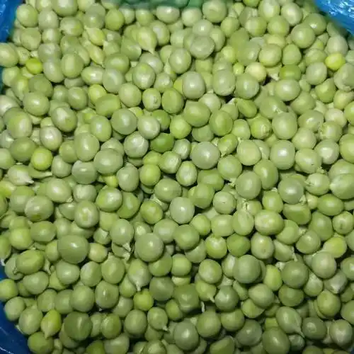 新上市手工豌豆米豌豆豌豆仁豌豆粒品质保证物美价