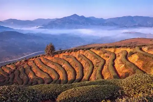 上一页 下一页 作品名称: 情人山晨韵  作品描述: 福建省南靖县书洋镇