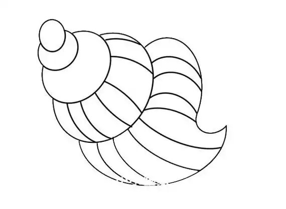 彩色海螺简笔画画法步骤图片