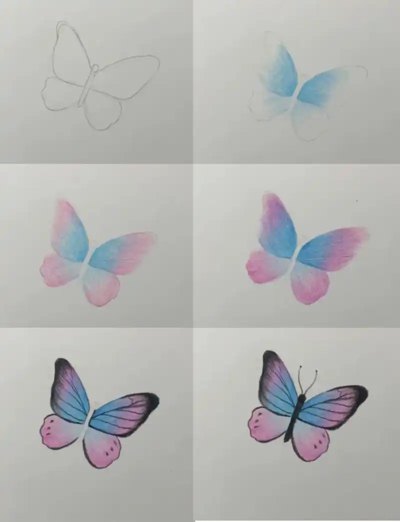彩铅蝴蝶绘画过程图来咯~#画画 #彩铅 #手绘 #画渣 #素 - 抖音