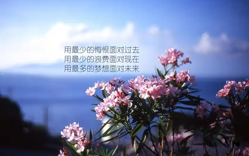 唯美励志文字桌面壁纸